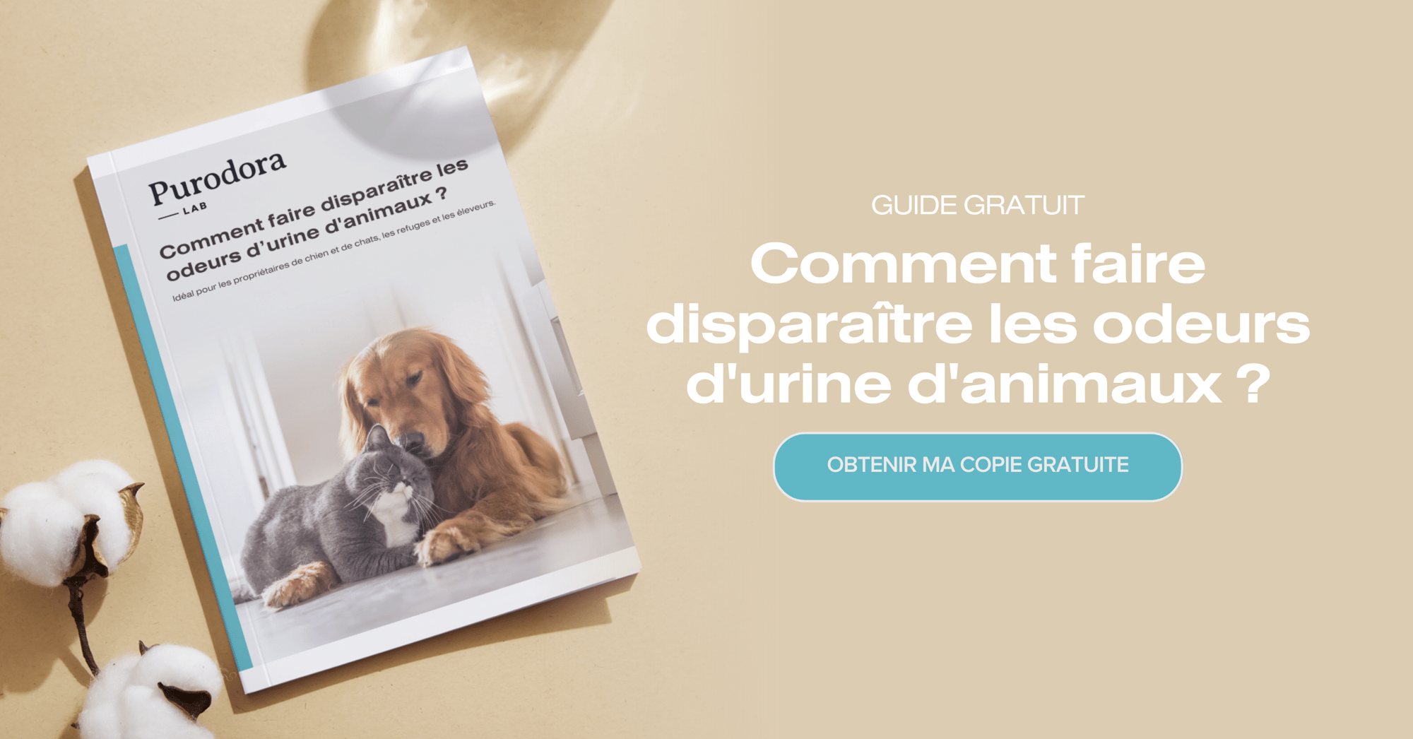 Comment faire disparaître les odeurs durine de chien 